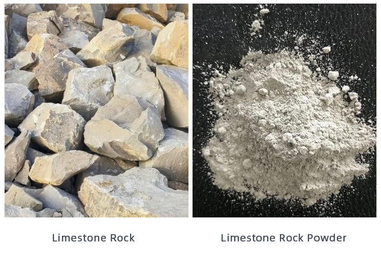 Limestone Rock
